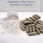 Rx Vitamins MegaFlex Cat and Dog Joint Supplement - Glucosamine Sulfate with MSM, Vitamin C, & Sea Cucumber - Supports Joint Flexibility and Mobility - for All Breeds and Sizes - 600 Capsules