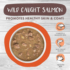 Weruva Classic Cat Stews!, Taco Stewsday with Beef, Chicken & Salmon in Gravy, 2.8oz Can (Pack of 12)