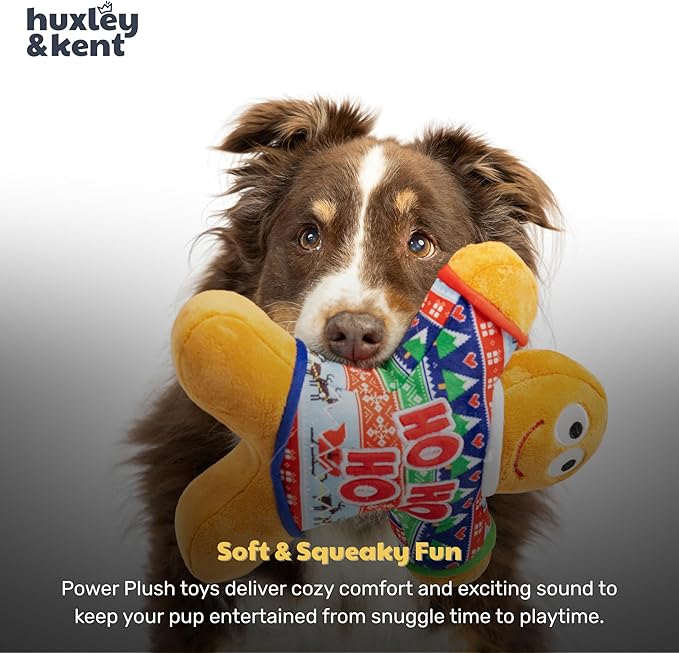 Huxley & Kent Funny Dog Toy w/Squeaker – Holiday Power Plush Squeaky Dog Toys for Small, Medium & Large Dogs – Soft Stuffed Animal for Indoor Play & Fetch - Ugly Sweater G-Man, Small