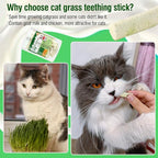 60g Cat Grass Teething Sticks with Goat Milk Favor, Edible Freezed Drying Cat Grass Treats, Cat Snacks for Hairball Removal and Dental Care