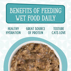 Weruva Cats in The Kitchen, Funk in The Trunk with Chicken in Pumpkin Consomme Cat Food, 3.2oz Can (Pack of 24)