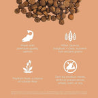 Go! Solutions Digestion + Gut Health, Dry Cat Food, Salmon Recipe with Ancient Grains, 16 lb Bag