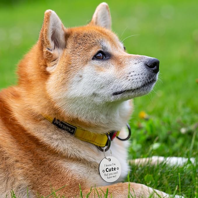 MYLUCKYTAG QR Code Stainless Steel Personalized Dog ID Tag, Digital Pet Profile, Pet Location Alert Email