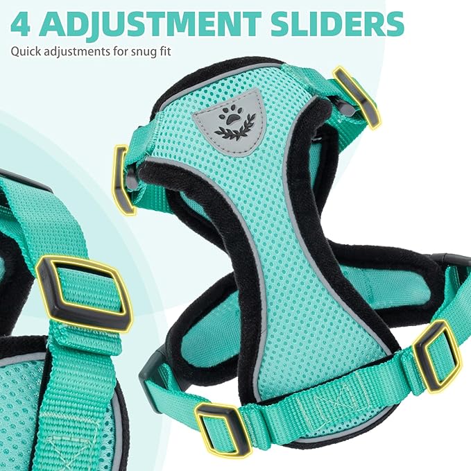 PUPTECK Cat Harness and Leash Set Escape Proof Reflective Cat Walking Harness Adjustable Soft Breathable Mesh Vest for Small Pets, Aquamarine, S