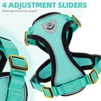 PUPTECK Cat Harness and Leash Set Escape Proof Reflective Cat Walking Harness Adjustable Soft Breathable Mesh Vest for Small Pets, Aquamarine, S