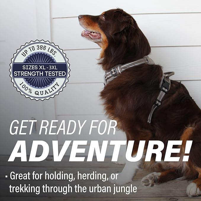 Doggie Design Venture Paw No Pull Dog Harness - Simple Adjustable Puppy Harness - Anti Pull Dog Collar for Walks and Outdoor Adventures - Dried Sage, XL