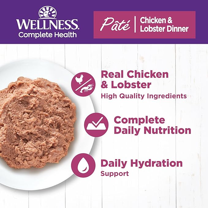 Wellness Complete Health Natural Grain Free Wet Canned Cat Food, Chicken & Lobster Pate, 5-Ounce Can (Pack of 24)