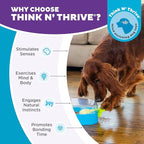 Outward Hound Nina Ottosson Paw N' Play Interactive Dog Treat Puzzle, Level 2 Intermediate Dog Enrichment Dog Toy, Blue, Small
