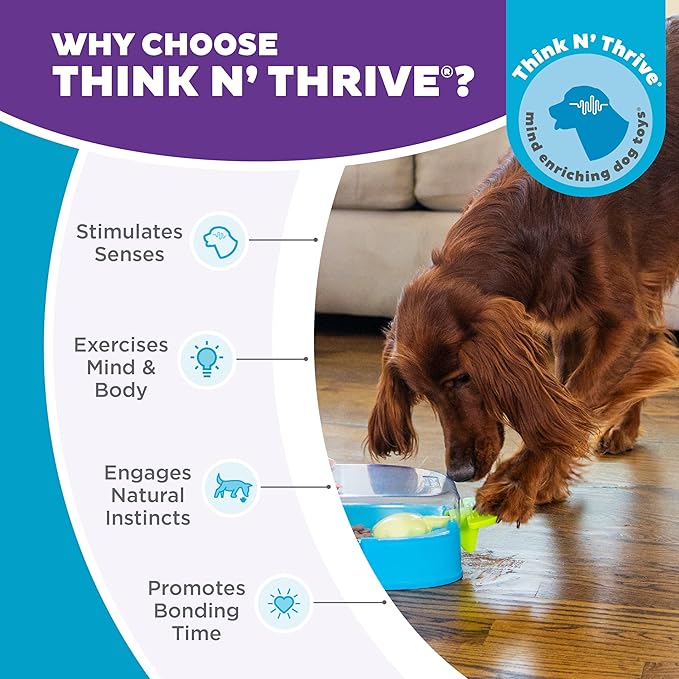 Outward Hound Nina Ottosson Paw N' Play Interactive Dog Treat Puzzle, Level 2 Intermediate Dog Enrichment Dog Toy, Blue, Small