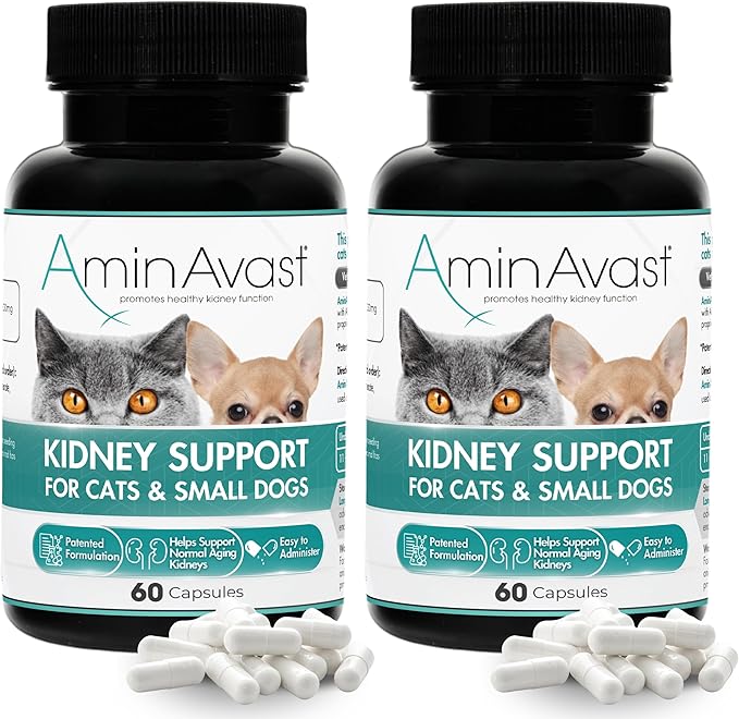 AminAvast Kidney Support Supplement for Cats and Small Dogs, 300mg 2-Pack - Promotes Natural Kidney Function - Aids in Health and Vitality of Aging Kidneys - Easily Administered - 60 Sprinkle Capsules