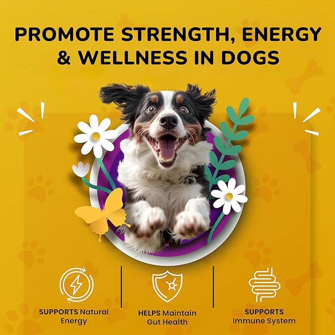 Turkey Tail Mushroom for Dogs - Dog Vitamins and Supplements - Prebiotics & Probiotics for Longevity, Immune Support & Digestion - with Chlorella, Dandelion Root, Vitamin E & More- 5.3 Oz