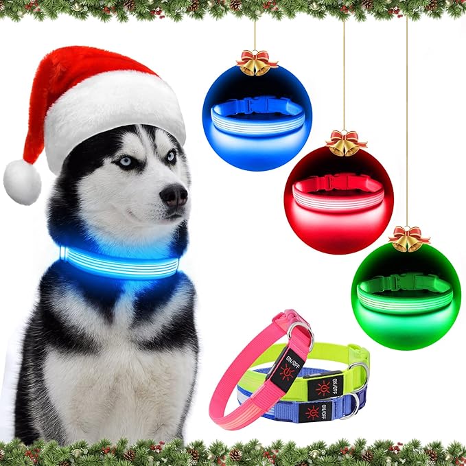 YFbrite Light up Dog Collar, USB Rechargeable LED Puppy Collar Super Bright Adjustable Glowing Dog Lights for Night Walking (Design-2- Blue, Medium)