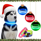 YFbrite Light up Dog Collar, USB Rechargeable LED Puppy Collar Super Bright Adjustable Glowing Dog Lights for Night Walking (Design-2- Blue, Medium)