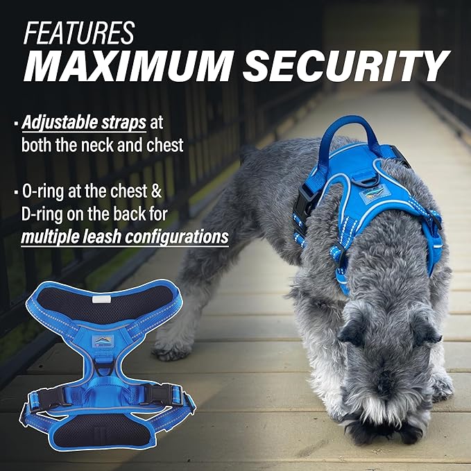 Doggie Design Venture Paw No Pull Dog Harness - Simple Adjustable Puppy Harness - Anti Pull Dog Collar for Walks and Outdoor Adventures - Mountain Lake, M