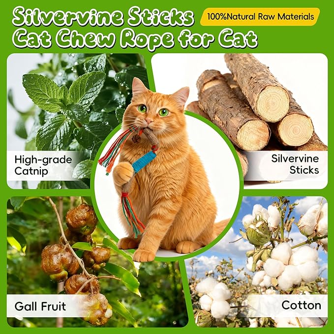 Silvervine Sticks for Cats & Cat Chew Rope Toy with Refillable Natural Catnip Bag for Teeth Cleaning, Interactive Cat Catnip Toys for Indoor Cats, Kitten Teething Toys for All Breeds (8Pcs)