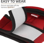 PUPTECK Soft Mesh Cat Vest Harness and Leash Set Puppy Padded Pet Harnesses Escape Proof for Cats Small Dogs, Red Medium