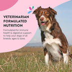 Dog Gut Health Probiotics Supplement | Improves Digestive Health and Immune System Support for Dogs and Puppies | All Natural Ingredients Tasty Kibble Dog Food Topper | 60 Count Pack