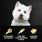 Cesar Simply Crafted Adult Wet Dog Food Meal Topper, Chicken, Carrots, Barley & Spinach, 1.3oz. (10 Count, Pack of 1)