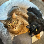 Cattasaurus Peekaboo Cat Cave, Extra Spacious for Multiple & Large Cats 12+ lbs, Scratch Detachable Beds for Indoor Cats, Washable Tunnel Bed, Comfy Cat Donut Tunnel (Light Gray+Dark Gray, Jumbo)