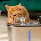 Replacement Filters for Stainless Steel Cat Water Fountain – 4 Months Set of Activated Carbon & Ion Exchange Resin for Fresh & Clean Drinking, Pack of 8 Filters