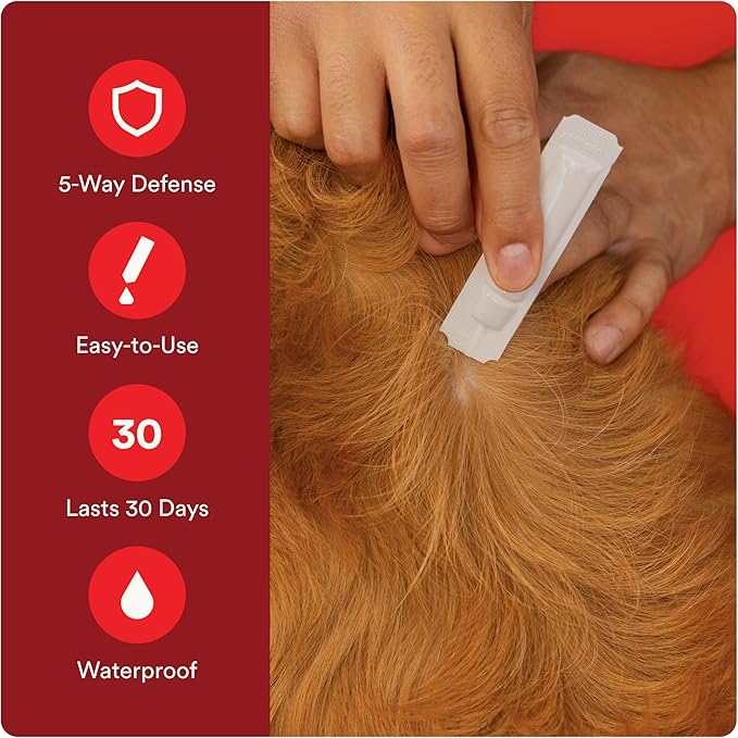 Advecta Ultra Flea and Tick Prevention for Dogs - Small Dog Flea and Tick Treatment & Control - Mosquito Repellent - Fast Acting Waterproof Topical Drops, 6 Month Supply
