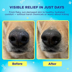 SnoutScreen Dog Paw Balm and All-Natural Dog Nose Balm for Dry, Cracked Skin, Dog Itching Skin Relief, Dog Sunscreen, Vet Recommended, Made in USA, Protects Against UVB and UVC Rays, 1 oz