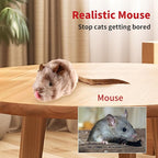 PETGEEK Gigwi Chirping Mouse Cat Toy, Fake Toys for Indoor Cats, Melody Chaser Toys with Hanging Loop for Bored Indoor Adult Cats Kittens Interactive Play (Mouse)