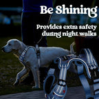 rabbitgoo Dog Harness Small Sized, No Pull Pet Harness with 3 Buckles, Adjustable Soft Padded Vest with Control Handle, Walking Reflective Pet Vest for Small Dogs, Floral Blue, S