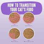 Weruva B.F.F. OMG - Best Feline Friend Oh My Gravy! Grain-Free Wet Cat Food Cans, QT Patootie! Chicken & Turkey, 2.8 oz Can (Pack of 12)