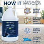 Eco Strong Cat Stain and Odor Remover| Enzyme Urine Odor Neutralizer - Stain Remover for Carpet, Litter Boxes, Bedding, and Laundry [160 Fl Oz Bundle]