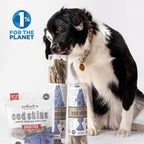 Polkadog Cod Skins for Dogs (12oz Shortie) - Single Ingredient, Wild-Caught Fish Skin Dog Treats for All Breeds – High in Lean Protein & Omega-3. Hypoallergenic, Grain Free. Handcrafted & Made in USA