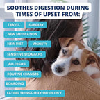 Under the Weather Bland Diet for Dogs | Easy to Digest for Sick Dogs | Always Be Ready | Contains Electrolytes - All Natural Freeze Dried 100% Human Grade Meats | 1 Pack - Chicken, Rice - 6oz