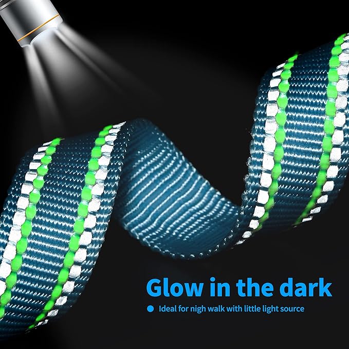 Mile High Life Nylon Night Light Glow Collar, Reflective Light Up Dog Collar, Fluorescent Self-Luminescent Strap for Small Medium Large Dogs (Blue, XS Neck9-13")