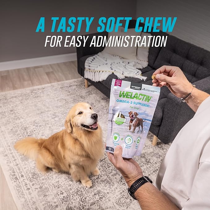 Nutramax Welactin Omega 3 Fish Oil for Dogs, Skin and Coat Health Supplement, Plus Immune and Overall Health, Premium Omega 3 Fatty Acids, Multivitamin For Dogs, Soft Chews, 60 Count