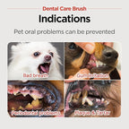 JAYU PET Dental Care Brush (Soft Bristles) 5ea - Dog Toothbrush, Cat Toothbrush, Dental Care for Kitten and Small Dogs, Removing Old Plaque and Tartar, Cat Teeth Brushing & Easy Cleaning