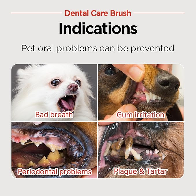 JAYU PET Dental Care Brush (Soft Bristles) 5ea - Dog Toothbrush, Cat Toothbrush, Dental Care for Kitten and Small Dogs, Removing Old Plaque and Tartar, Cat Teeth Brushing & Easy Cleaning