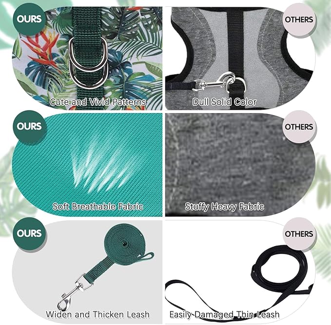 BINGPET Cat Harness and Leash Set Escape Proof for Walking,Step-in Harness with Lightweight Soft Breathable Mesh,Adjustable Easy Control Harness (Emerald Hues, L(Chest:12.5-16.5"))