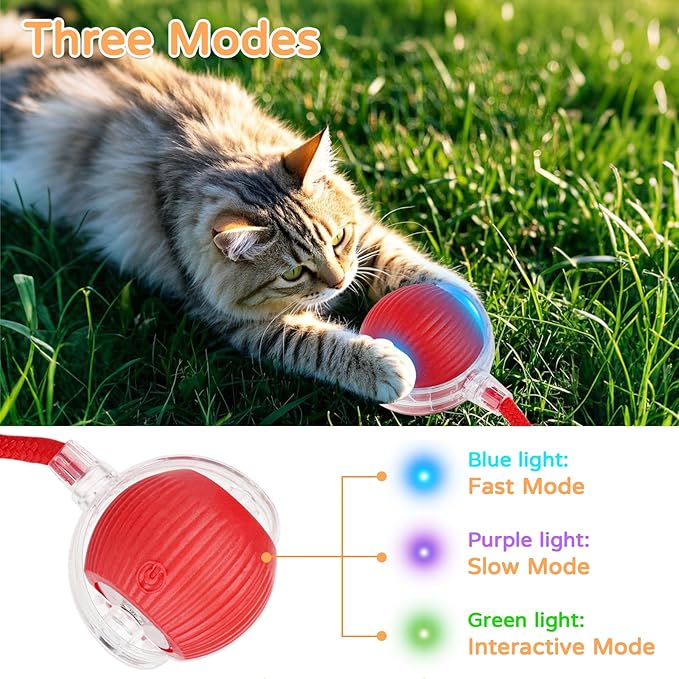 2025 New 2Pack Cat Ball Kitten Toys for Indoor Interactive Kitty Ball Toy Speedy Tail 360° Automatic Rolling(Red Grey)