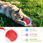 2025 New 3Pack Cat Ball Kitten Toys for Indoor Interactive Kitty Ball Toy Speedy Tail 360° Automatic Rolling(Red Grey Green)