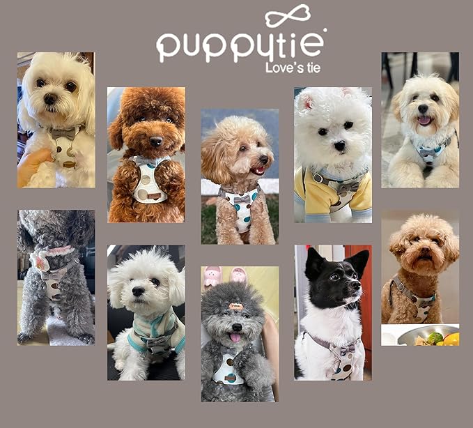 Puppytie No Pull Dog Harness with Multifunction Dog Leash,Soft Adjustable No Choke Escape Proof Pet Harness Vest for Medium Dogs,Polka dots Smoke Grey,M