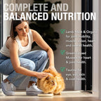 Feline Natural New Zealand Canned Catfood Wet Food, High-Meat, Low-Carb, & Grain Free Cat Food Wet, Lamb Feast, 6 oz, Pack of 12