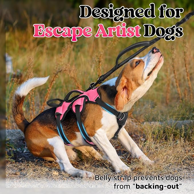 rabbitgoo Escape Proof Dog Harness, Soft Padded Full Body Pet Harness, Reflective Adjustable No Pull Vest with Lift Handle and Leash Clip for Large Dogs Walking Hiking Training, S, Pink