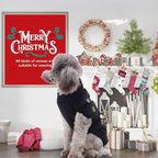 PETCARE Christmas Dog Sweaters Black Snowman Ugly Snow Xmas Puppy Costume Pet Holiday New Year Fall Winter Dog Clothes for Small Medium Large Dogs Cats Pullover Cat Sweaters Outfits