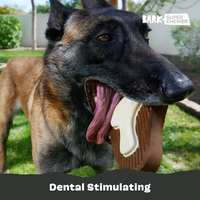 Barkbox Super Chewer Tough Dog Chew Toys for Aggressive Chewers, Dental Stimulating (T Bone - Large)