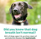 TropiClean Fresh Breath Water Additive for Dogs, Dog Breath Freshener & Teeth Cleaning Solution, No Toothpaste or Toothbrush Required, 16 oz, 3 Pack