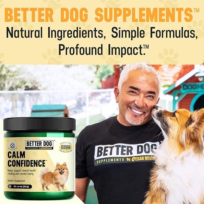 Better Dog Supplements Calm Confidence by Cesar Millan – Natural Cognitive & Brain Support for Dogs – Focus, Energy & Vitality with Ashwagandha, Panax Ginseng & Herbs – 4oz, (60-Day Supply)