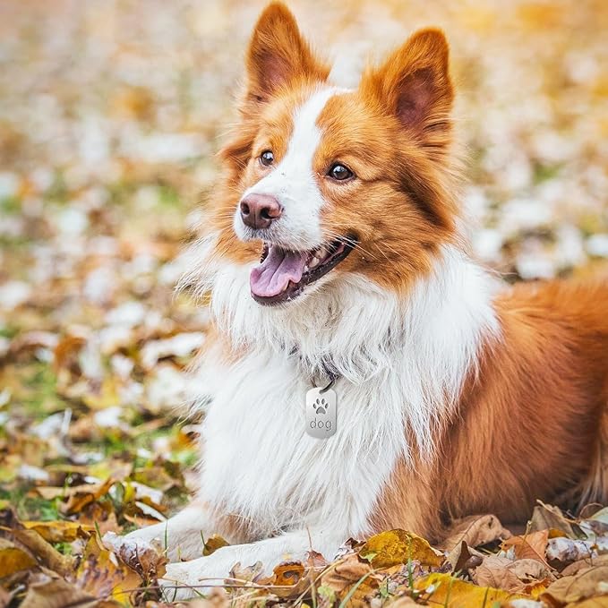 Fesorsi 50 Pcs Aluminum Tags for Engraving,Rectangle Stamping Blanks Tags,Sliver Military Dog Tags,Anodized Blank Metal Tags,Personalized Pet Dog ID Tags Blank with Hole DIY Pendants Decorative Craft