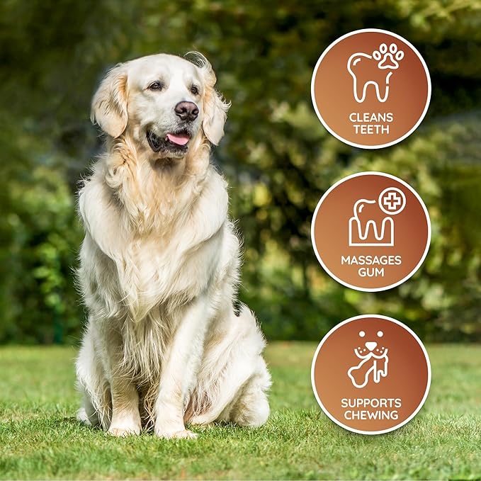 Wildfang® Leather Dog Toy, Medium - Leather Bone for Teething Dog, Dental Toys for Puppies, Training for Chewing Muscles, Puppy Chew Bones for Light or Medium Chewers (for Dogs 22-33 lbs), Pack of 1