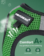 FAYOGOO Cat Harness, Cat Leash and Harness Set for Walking Escape Proof, Harness for Small Cats/Small Dogs, Large Kitten/Puppy Harness and Leash, Harness for Cats S-XXL(Neon Green, X-Large)