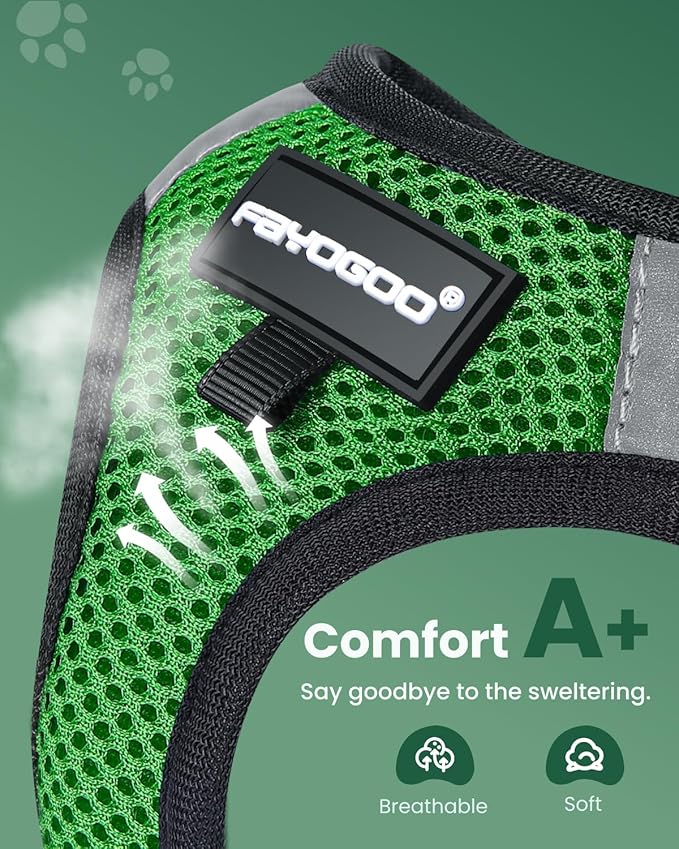 FAYOGOO Cat Harness, Cat Leash and Harness Set for Walking Escape Proof, Harness for Small Cats/Small Dogs, Large Kitten/Puppy Harness and Leash, Harness for Cats S-XXL(Neon Green, X-Large)